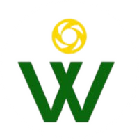 google-logo